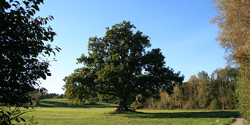 Stacks Image 322